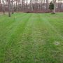 Photo of Active Green Lawn Care