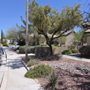 Photo of Oscar Landscaping