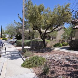 Oscar Landscaping