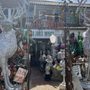 Photo of Gringo Jones Imports