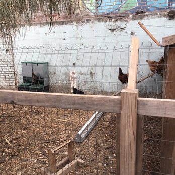 Manuela - Where your eggs  come from Right around the corner of the restaurant - New American Near Me - Los Angeles, California