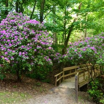 Core Arboretum - Parks Near Me - Morgantown, West Virginia