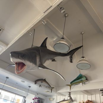 Bear Flag Fish - Inside - Seafood Near Me - Newport Beach, California