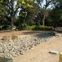 Photo of Fumasi Oak Preserve