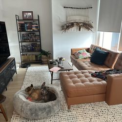 San Francisco Rug Gallery - Beautiful checkered plush Indian carpet with padding underneath.