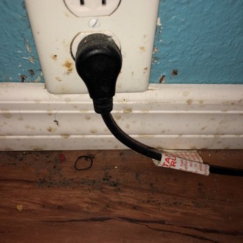 MOTEL 6 - Disgusting! - Hotels Near Me - Spring Hill, Florida
