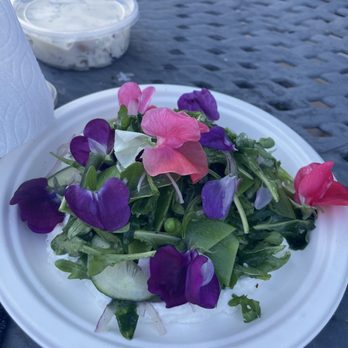 Pioneer Tap Room - Delicious salad! - Breweries Near Me - Fairfield, California Pioneer Tap Room - Delicious salad! - Breweries Near Me - Fairfield, California