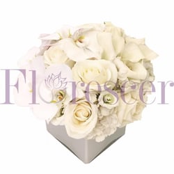 Florescer NY