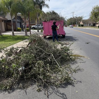Mean Pink Junk Removal & Hauling - Junk Removal & Hauling Near Me Mean Pink Junk Removal & Hauling - Junk Removal & Hauling Near Me