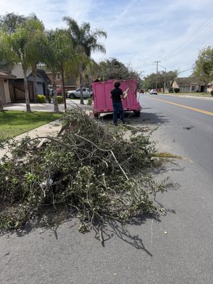 Mean Pink Junk Removal & Hauling on Yelp