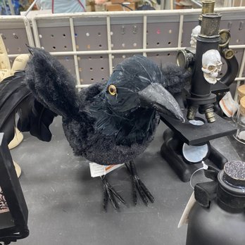 Michaels - THE crow. Be nice to him. He's been through a lot and I love him. - Arts & Crafts Near Me - Woodland, California Michaels - THE crow. Be nice to him. He's been through a lot and I love him. - Arts & Crafts Near Me - Woodland, California