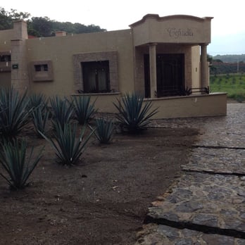 Hotel Boutique la Cofradía - Room in the agave field - Hotels Near Me - Tequila, JAL