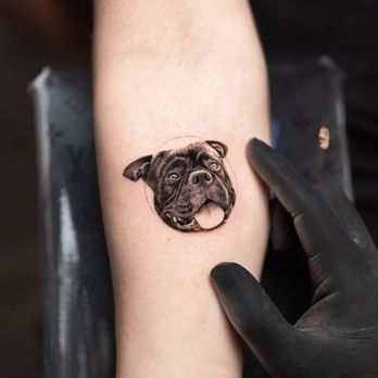 Panda Tattoo - Microrealism black and white tattoo pet portrait. - Tattoo Near Me - Miami, Florida Panda Tattoo - Microrealism black and white tattoo pet portrait. - Tattoo Near Me - Miami, Florida