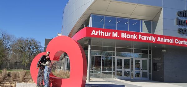 Atlanta Humane Society by null