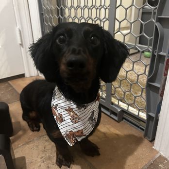 Lifes An Itch Pet Salon - Pet Groomers Near Me Lifes An Itch Pet Salon - Pet Groomers Near Me