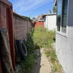 Yard before - a lot of weed Yard before - a lot of weed