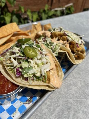 Clausen Oysters by null