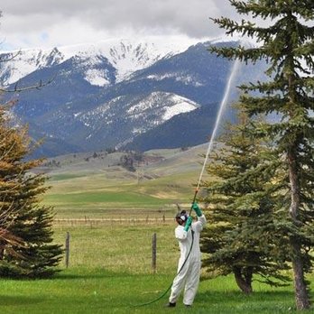 Yellowstone Valley Tree Surgeons - Tree Services Near Me - Billings, Montana Yellowstone Valley Tree Surgeons - Tree Services Near Me - Billings, Montana