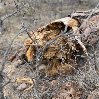 Castlewood Canyon State Park - Parks Near Me - Franktown, Colorado