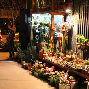 Muy Güemes - Variedad de locales. Cactus - Shopping Centers Near Me - Córdoba, X Muy Güemes - Variedad de locales. Cactus - Shopping Centers Near Me - Córdoba, X