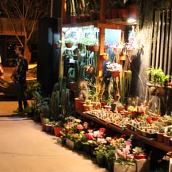 Muy Güemes - Variedad de locales. Cactus