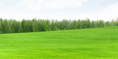 Frank Urtz, Ph.D. Psychologist