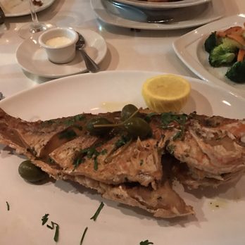 Veranda Restaurant & Cafe - Fried fish - Mediterranean Near Me - Bayside, New York Veranda Restaurant & Cafe - Fried fish - Mediterranean Near Me - Bayside, New York