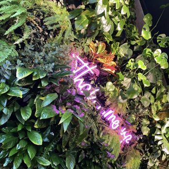 BODHI - Plant wall - Thai Near Me - Indianapolis, Indiana BODHI - Plant wall - Thai Near Me - Indianapolis, Indiana
