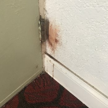 Budgetel - They could at least paint this - Hotels Near Me - Pompano Beach, Florida