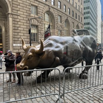 Small Bus Tours NYC - Bull at Wall Street. - Bus Tours Near Me - Queens, New York