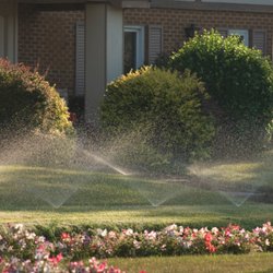 Phase III Landscaping