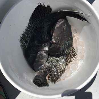 Fish'n Tales Adventures - Boat Tours Near Me - Newport, Rhode Island