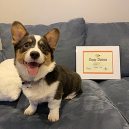 Charlie graduated!