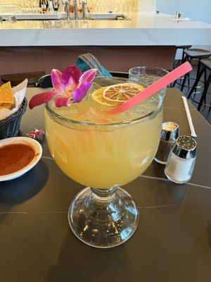 Lobera Tacos & Tequila by null