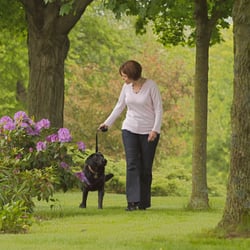West Hartford Pet Sitters - Kim and Kellie.
