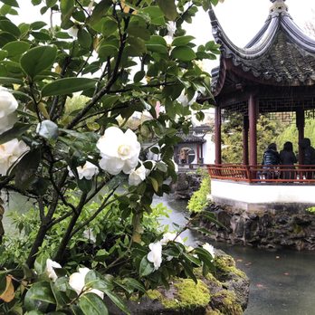 Vancouver Chinatown - Local Flavor Near Me - Vancouver, British Columbia