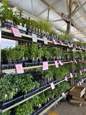 Minneapolis Farmers Market by null