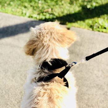 Lake Union Piers - Brighter than the sun! - Parks Near Me - Seattle, Washington Lake Union Piers - Brighter than the sun! - Parks Near Me - Seattle, Washington