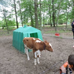 Green Meadows Farm