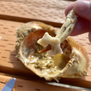 Kelly Brighton Marina - Crab heart - Seafood Near Me - Rockaway Beach, Oregon Kelly Brighton Marina - Crab heart - Seafood Near Me - Rockaway Beach, Oregon