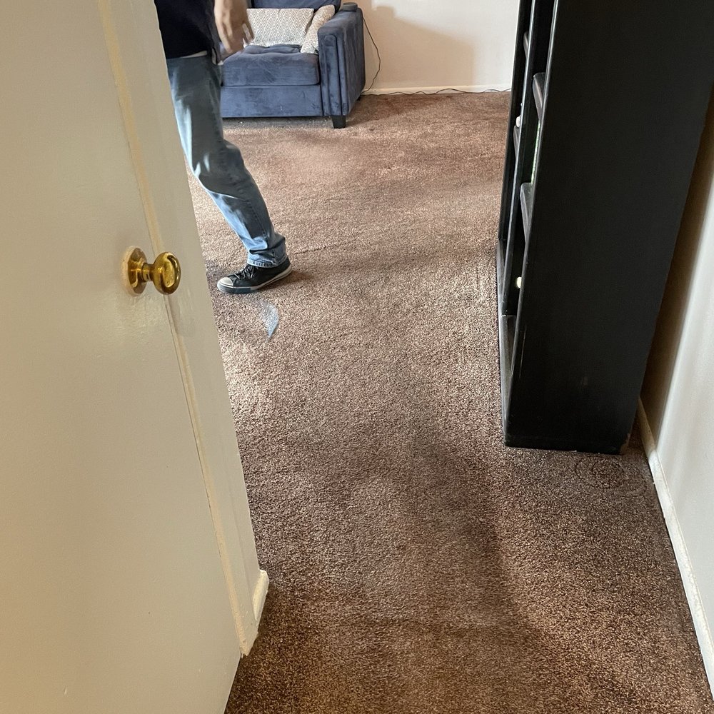 Sterling Carpet Care - Special attention given to high traffic areas. - Carpet Cleaning Near Me - Sparks, Nevada Sterling Carpet Care - Special attention given to high traffic areas. - Carpet Cleaning Near Me - Sparks, Nevada