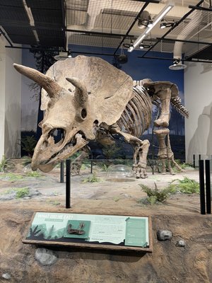 Glazer Children's Museum by null