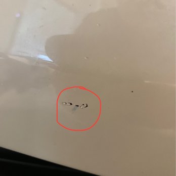 Capitol Subaru - Damage to paint. - Car Dealers Near Me - San Jose, California