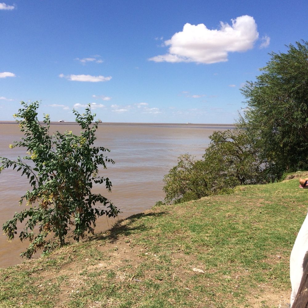 Reserva Ecológica - The ocean/ River Plata - Botanical Gardens Near Me - Buenos Aires, C