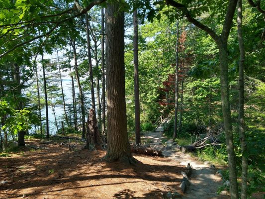Wolfe's Neck Woods State Park by null