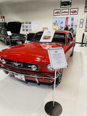 Mustang Owner's Museum by null