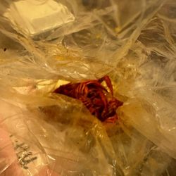user provided Crazy Crab House photo