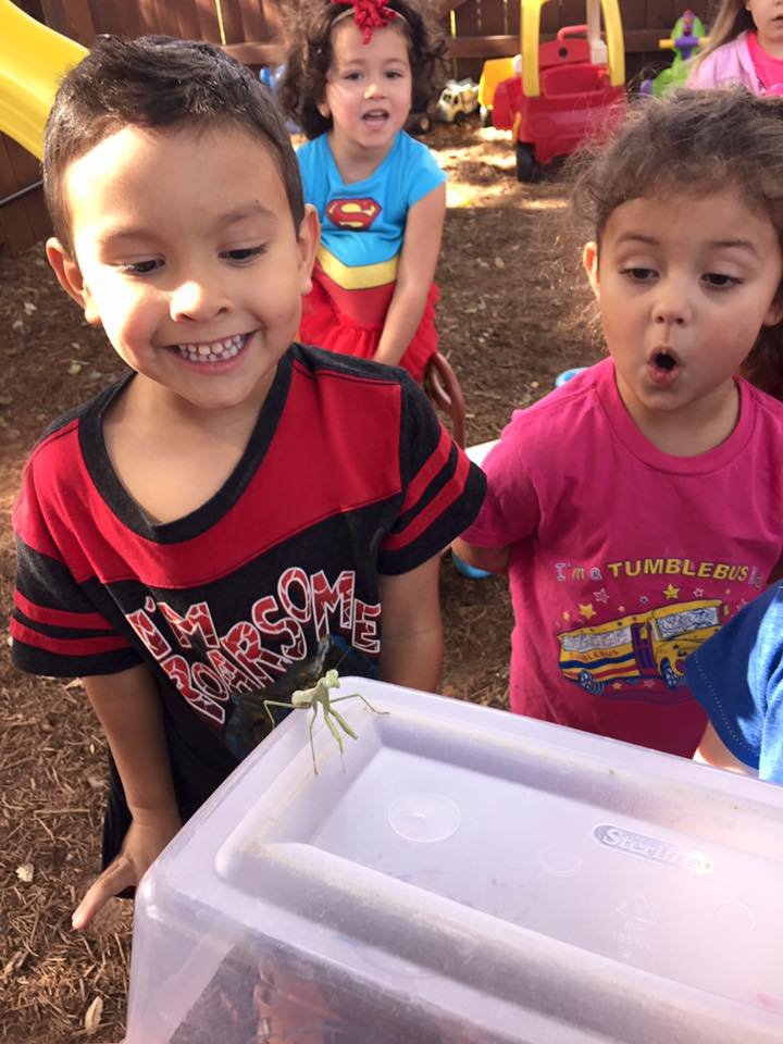 The Lilypad Garden School - childcare center in San Antonio, TX