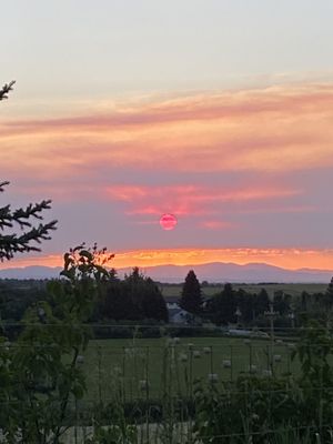 Bear Canyon Campground by null