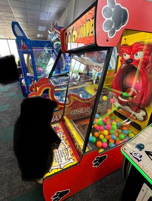 Chuck E. Cheese by null